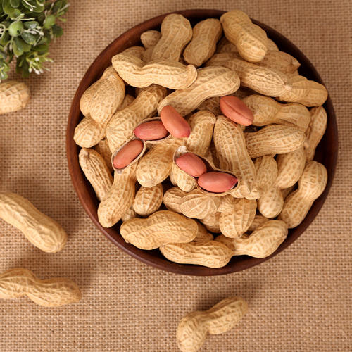 Best Price Chinese Roasted Peanut in Shell Supplier